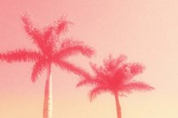 Framed Palm Trees in Pink