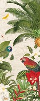 Framed Parrot Paradise VII