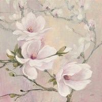 Framed Blushing Magnolias