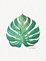 Framed Watercolor Monstera Leaf