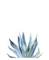 Framed Agave II