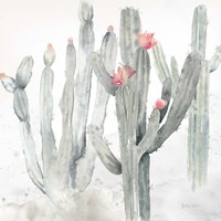 Framed Cactus Garden Gray Blush II