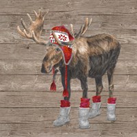 Framed Warm in the Wilderness Moose