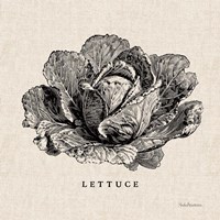 Framed 'Burlap Vegetable BW Sketch Lettuce' border=