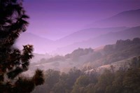 Framed Misty Valley