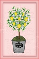 Framed Lemon Topiary - Pink