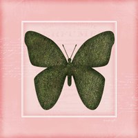 Framed Butterfly - Pink