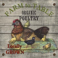 Framed 'Farm to Table - Poultry' border=