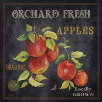 Framed 'Orchard Fresh Apples' border=