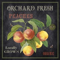 Framed 'Orchard Fresh Peaches' border=