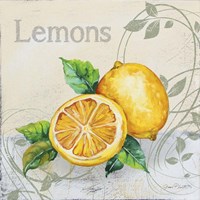 Framed 'Tutti Fruiti Lemon' border=