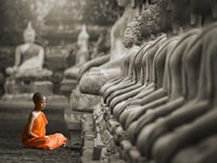 Framed Young Buddhist Monk Praying, Thailand (BW)