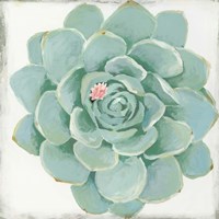 Framed Pastel Succulent I