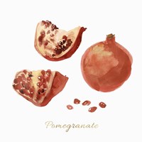 Framed 'Pomegranate' border=