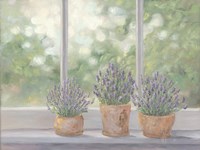 Framed Lavender Pots
