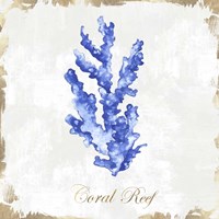 Framed 'Blue Sea Coral' border=