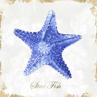 Framed 'Blue Starfish' border=