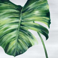 Framed Tropical Leaf II