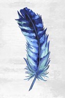 Framed Indigo Feather I