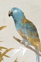 Framed Blue Parrot II