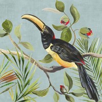 Framed 'Paradise Toucan II' border=