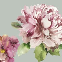 Framed Pink Peony I