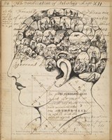 Framed Phrenology Bookpage