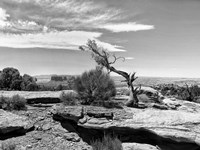 Framed Canyon Lands IV