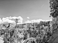 Framed Canyon Lands VI