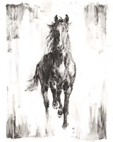 Framed Rustic Black Stallion I