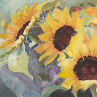 Framed Sunflowers in Watercolor I