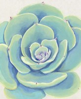 Framed Pastel Succulent IV