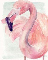 Framed 'Pastel Flamingo I' border=