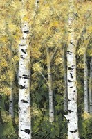 Framed Birch Treeline I