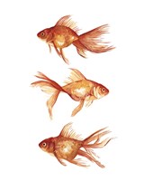 Framed Ornamental Goldfish III