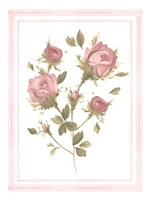 Framed Rose Pattern II