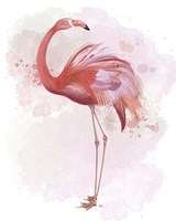 Framed 'Fluffy Flamingo 3' border=