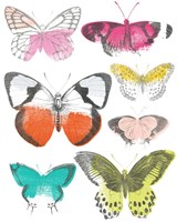 Framed 'Chromatic Butterflies I' border=