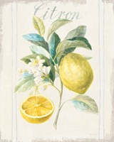 Framed 'Floursack Lemon IV v2' border=