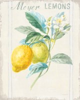 Framed 'Floursack Lemon II v2' border=