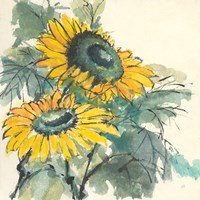 Framed 'Sunflower I' border=