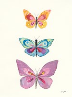 Framed Butterfly Charts III