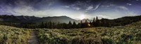 Framed Yellowstone Landscape