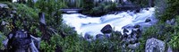 Framed Cascade Yellowstone