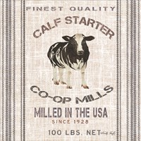 Framed Calf Starter