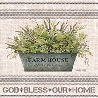 Framed Galvanized Farmhouse God Bless
