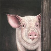 Framed 'Farm Animal - Pig' border=