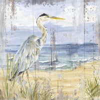 Framed Birds of the Coast Rustic I