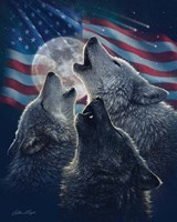 Framed Wolf Trinity Patriotic