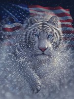 Framed White Tiger America